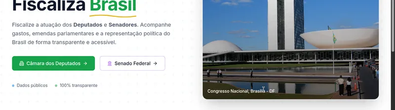 Screenshot do Fiscaliza Brasil