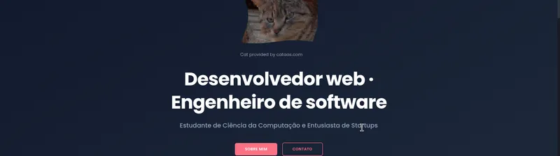 Screenshot do Portfólio de Desenvolvimento